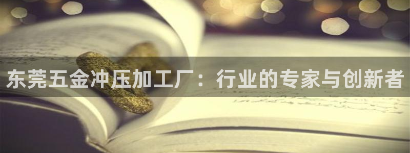 娱乐从琳琅榜开始的小说