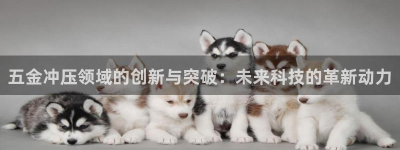 琅琳琅娱乐舍区