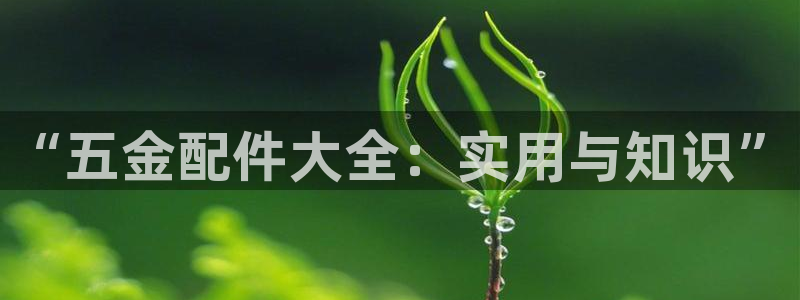 琳琅娱乐社区