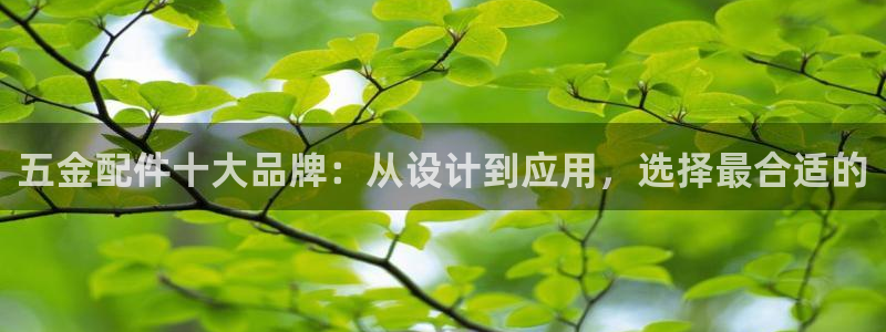 琳琅娱乐场所