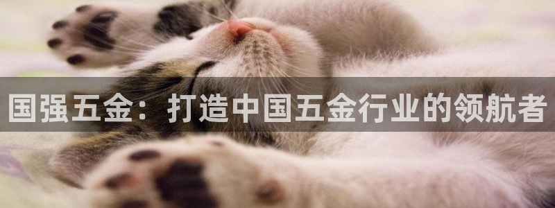 琳琅娱乐足球