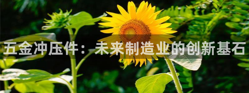 琳琅娱乐场所