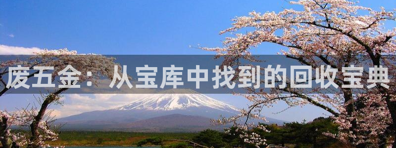 琳琅娱乐在哪直播的