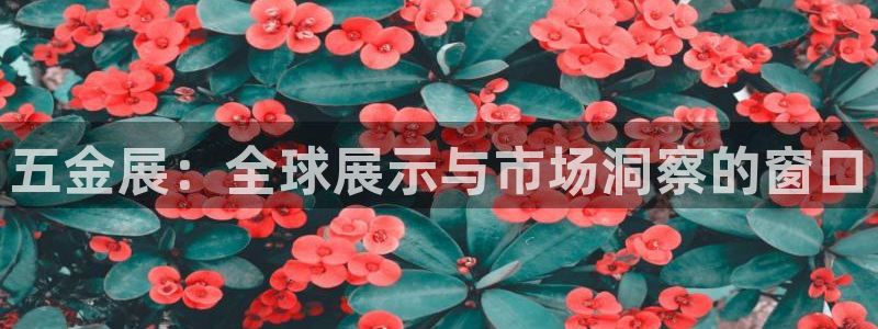 琳琅娱乐a