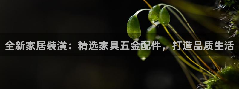 琳琅娱乐在哪直播