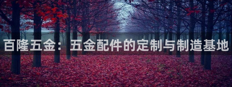 琳琅娱乐天美2