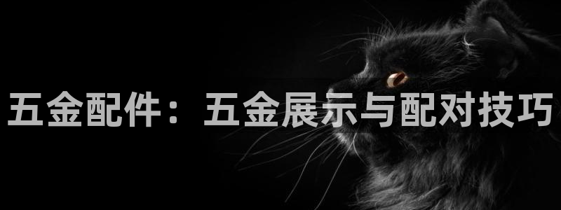 琳琅国际娱乐会所电话