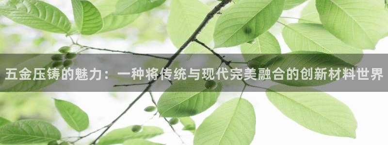 琳琅娱乐工作室怎么样