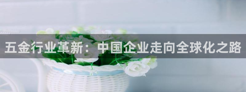琳琅科技娱乐机器人下载