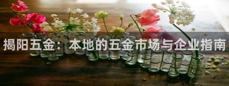 琳琅娱乐百科