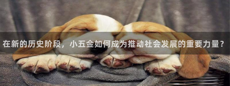琳琅社区综艺文化娱乐