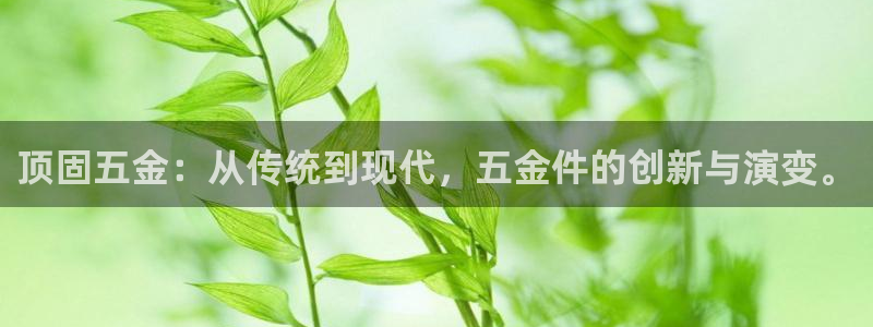 琳琅娱乐平台登陆