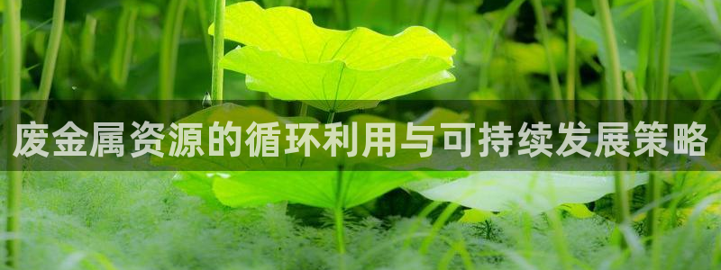 琳琅科技娱乐机器人插件