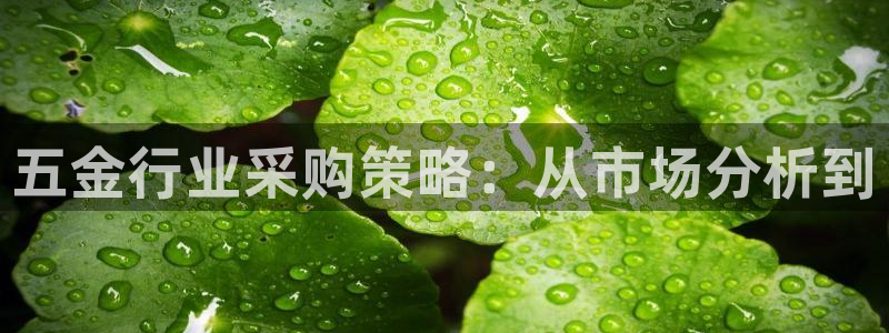 琳琅娱乐天美2