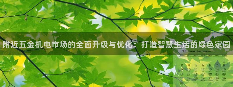 琳琅满目的娱乐设施