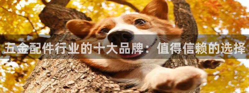 琳琅娱乐社区