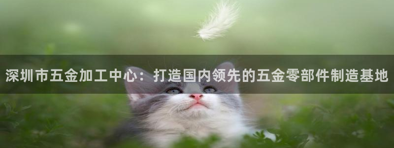 琳琅娱乐场所在哪里