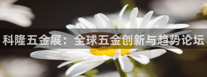 琳琅娱乐机器人