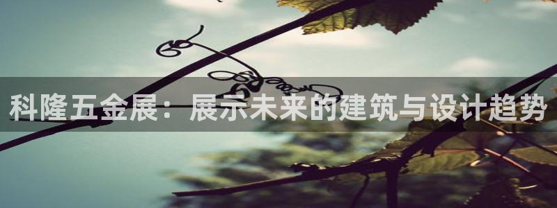 qq飞车琳琅娱乐组