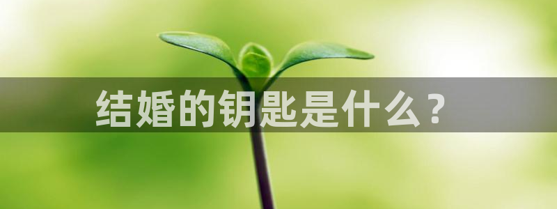 娱乐从琳琅榜开始