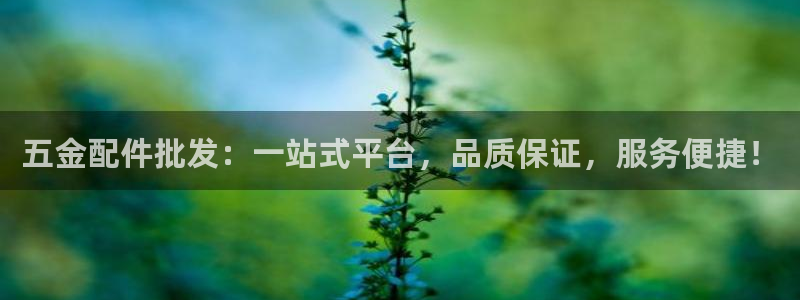 琳琅娱乐平台是真的吗知乎