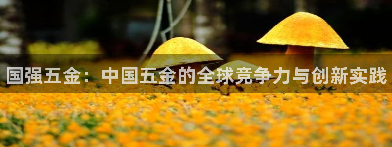 琳琅满目的娱乐设施