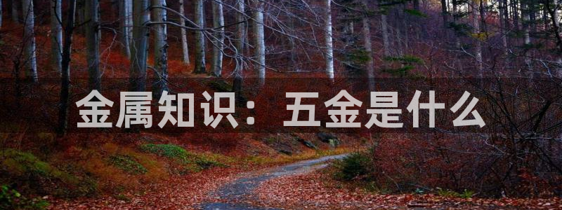 琳琅娱乐在线观看