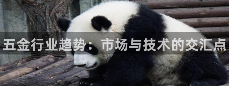 琳琅科技娱乐机器