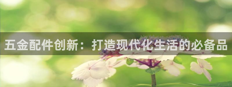 琳琅娱乐组飞车