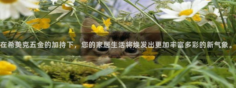 琳琅娱乐登入