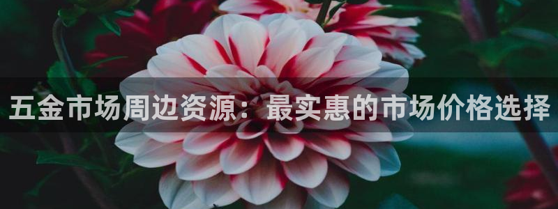 琳琅娱乐机器人