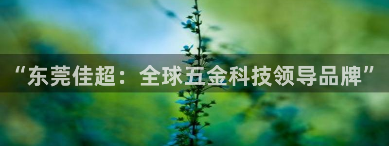 琳琅娱乐平台是真的吗