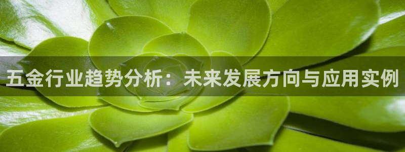 琳琅天上qq飞车娱乐