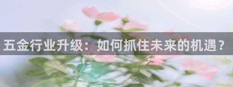 琳琅社区综艺文化娱乐