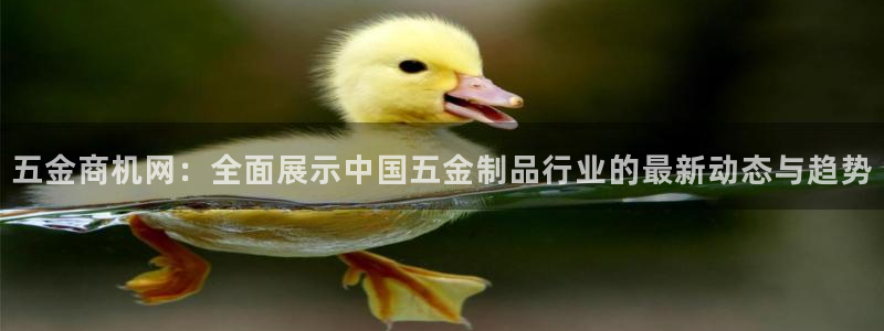 琳琅聊娱乐