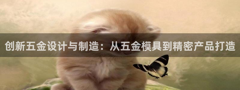 琳琅娱乐平台是真的吗