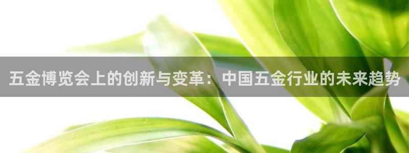 qq琳琅科技娱乐机器人