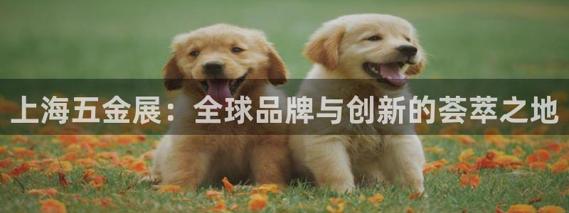琳琅娱乐怎么样知乎