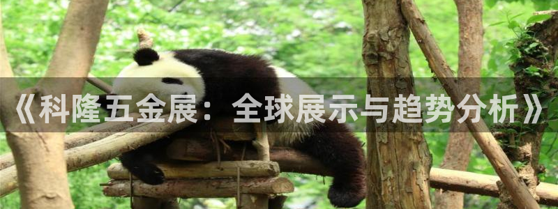 琳琅科技娱乐机器人