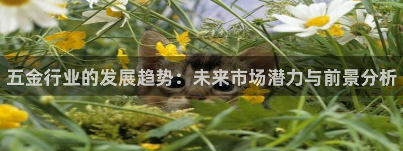 琳琅娱乐放心33300