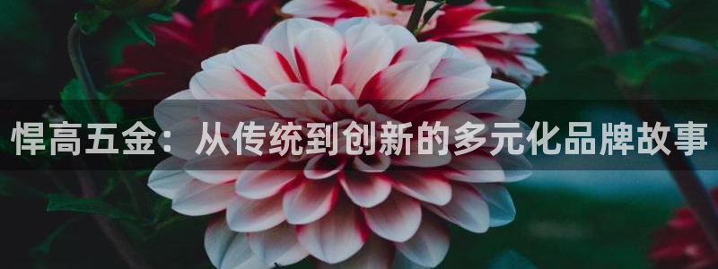 琳琅科技娱乐