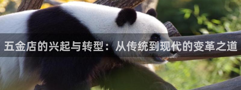 琳琅科技娱乐机器人下载