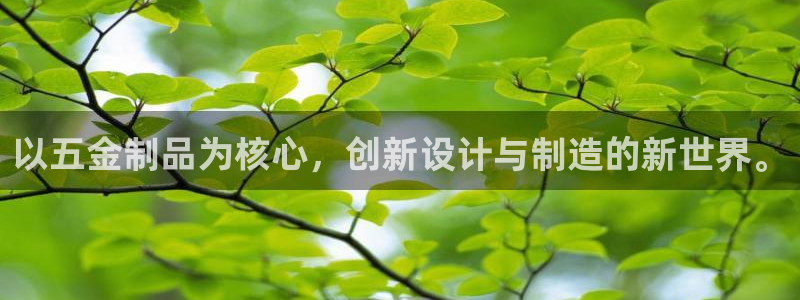 琳琅娱乐是什么