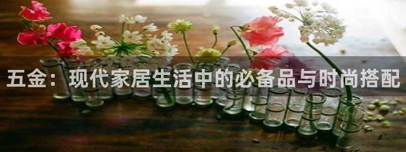 祖龙娱乐官网爱在琳琅
