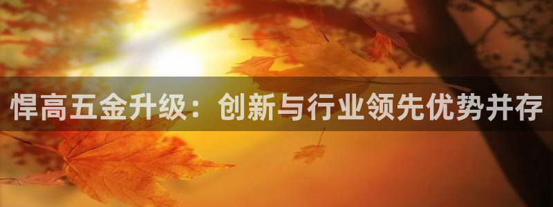 qq飞车琳琅娱乐组
