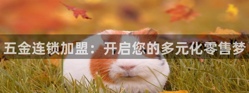 琳琅娱乐主管是谁