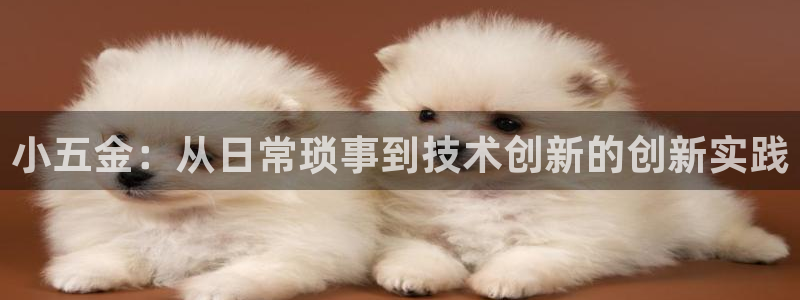 琅琳琅娱乐