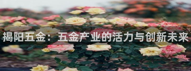 琳琅娱乐平台怎么样