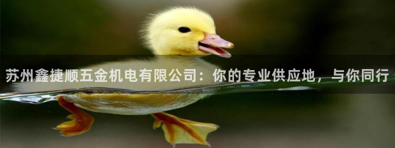 琳琅娱乐工作室招聘电话