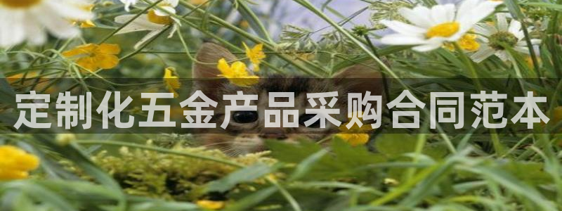 琳琅娱乐社区宅男